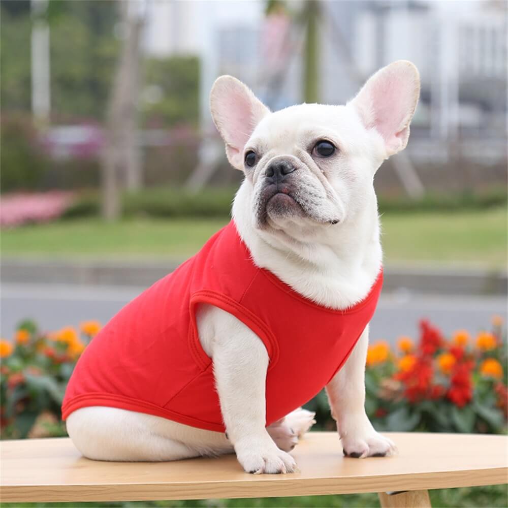 Cotton Solid Color Basic Vest Pet Clothing