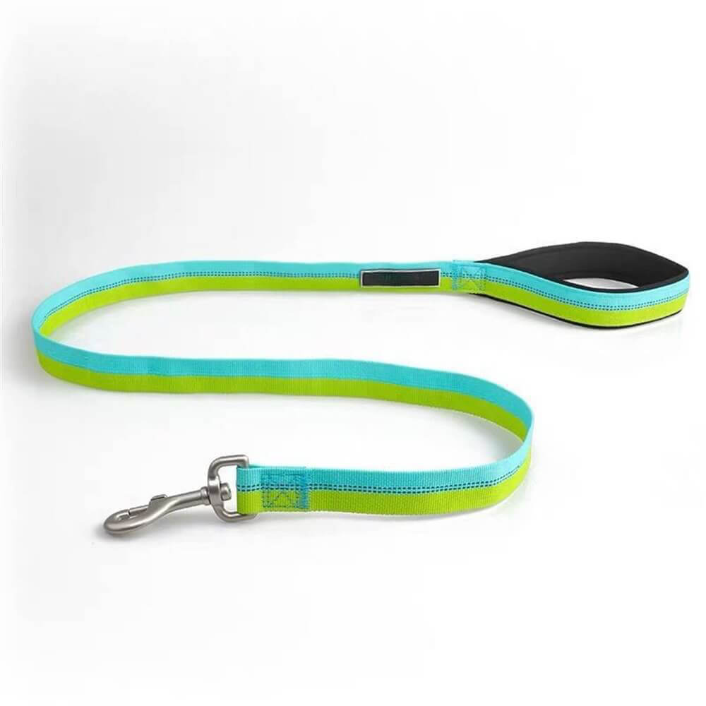 Colorful Dog Leash Collar - High Strength Nylon