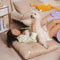 Dual-Sided Cozy Plush Calming Washable Dog Mats