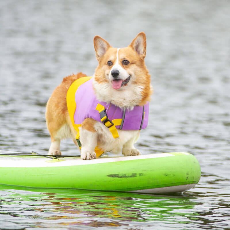 Colete flutuante ajustável Arnês para cães Colete salva-vidas para cães