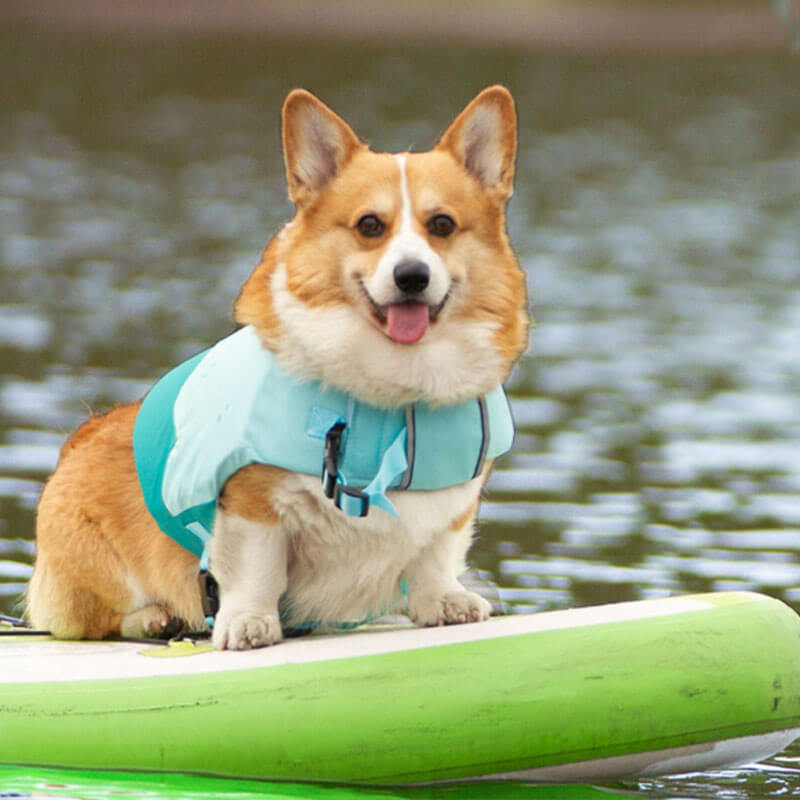 Colete flutuante ajustável Arnês para cães Colete salva-vidas para cães