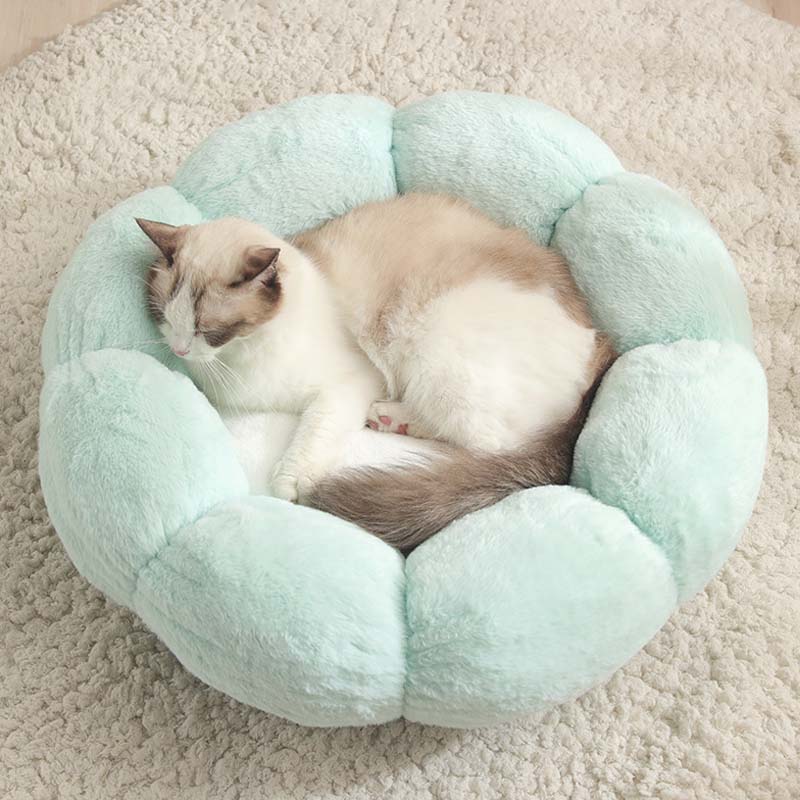 Cama de gato em forma de flor para dormir profundamente