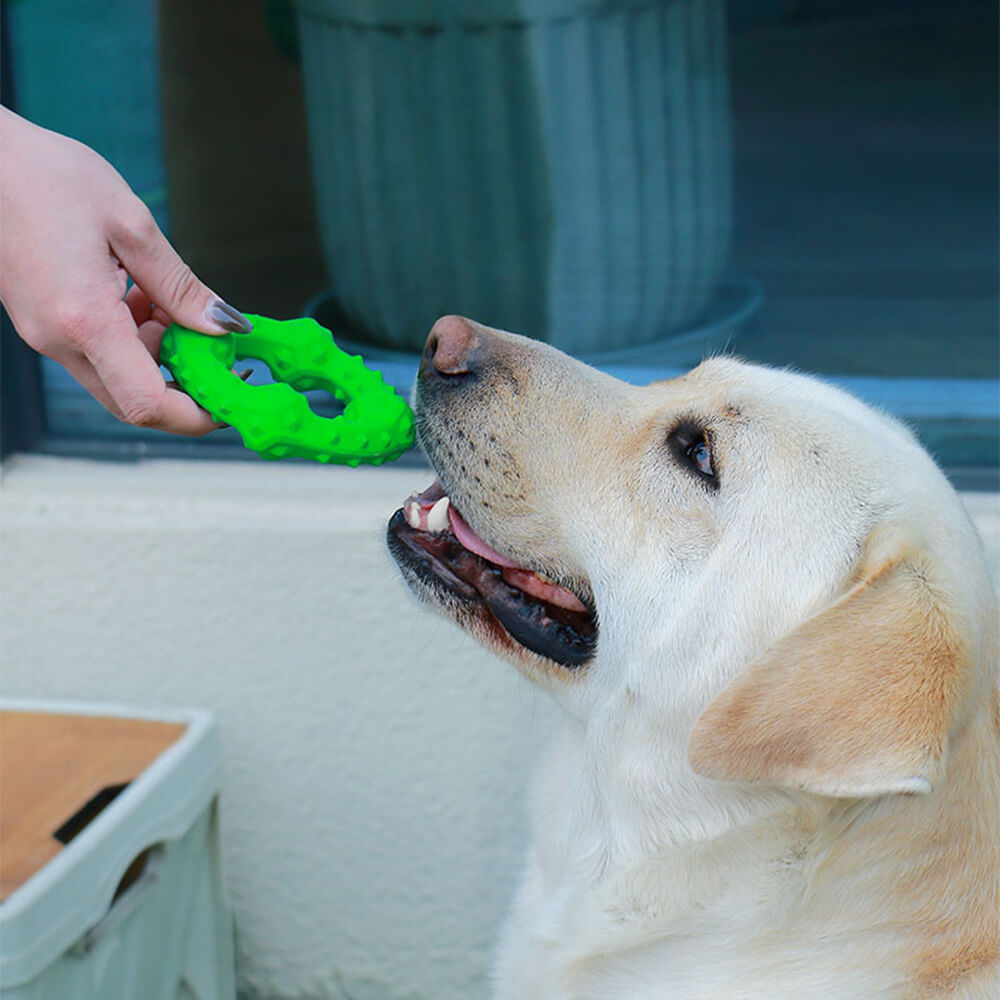 Dog Interactive Squeaky Toy Teething Chew Toy