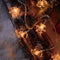Luzes LED Luzes de corda USB para renas e flocos de neve de Natal