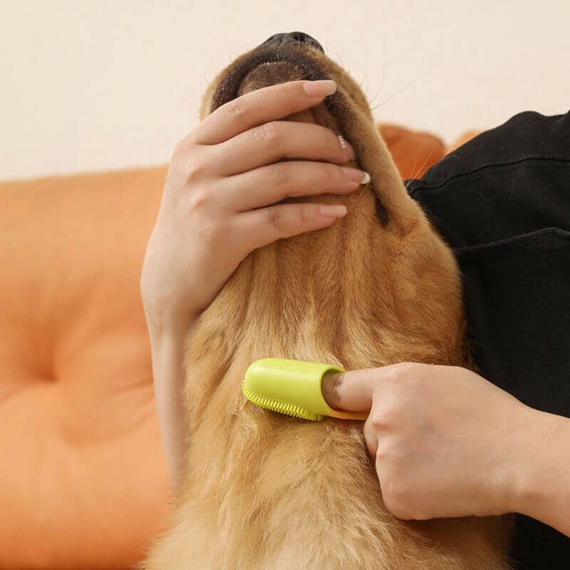 Escova de dentes para animais de estimação, escova de dentes para limpeza dos dentes