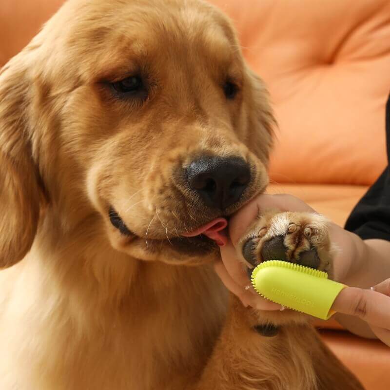 Escova de dentes para animais de estimação, escova de dentes para limpeza dos dentes