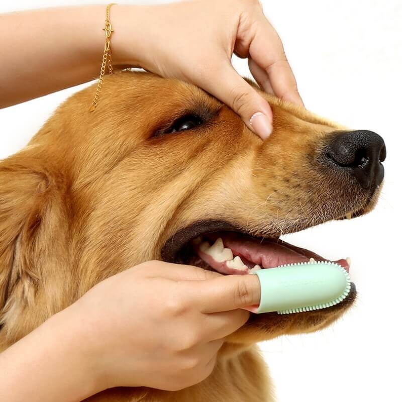 Escova de dentes para animais de estimação, escova de dentes para limpeza dos dentes