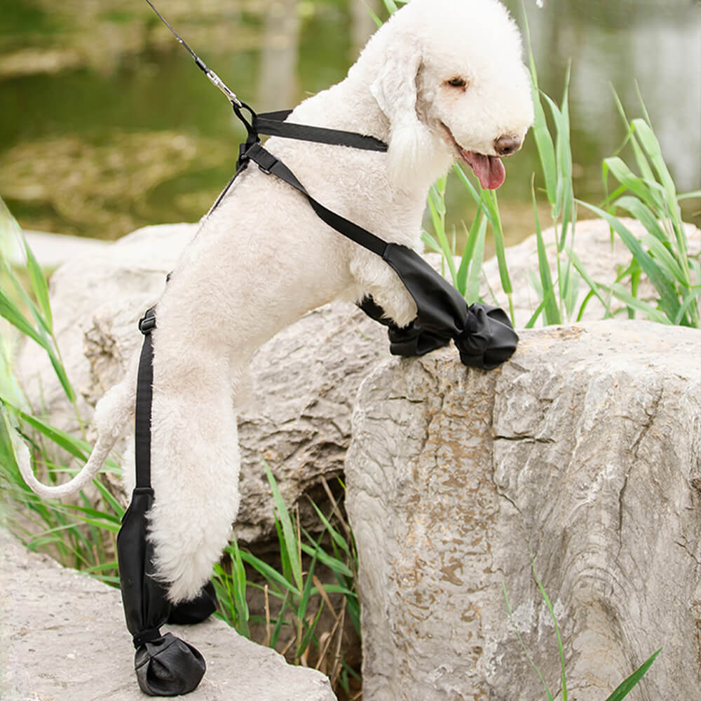 Leggings antiderrapantes impermeáveis ​​para cães - portáteis, duráveis ​​e à prova de sujeira