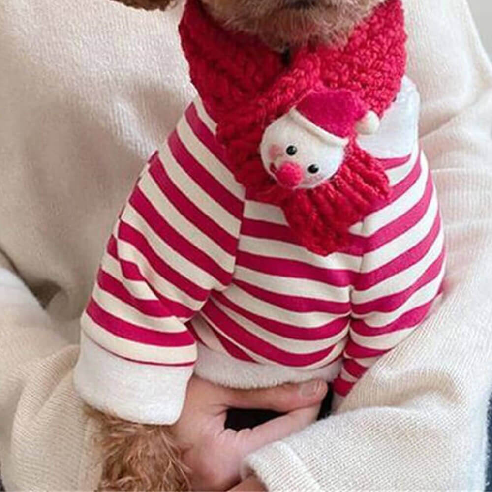 Cozy Striped Dog Sweater with Matching Scarf - Perfect for Winter Walks