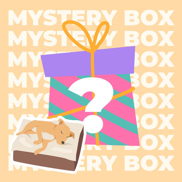 Kit de viagem seguro para cães com até 15 kg - $ 220 VALOR MYSTERY BOX