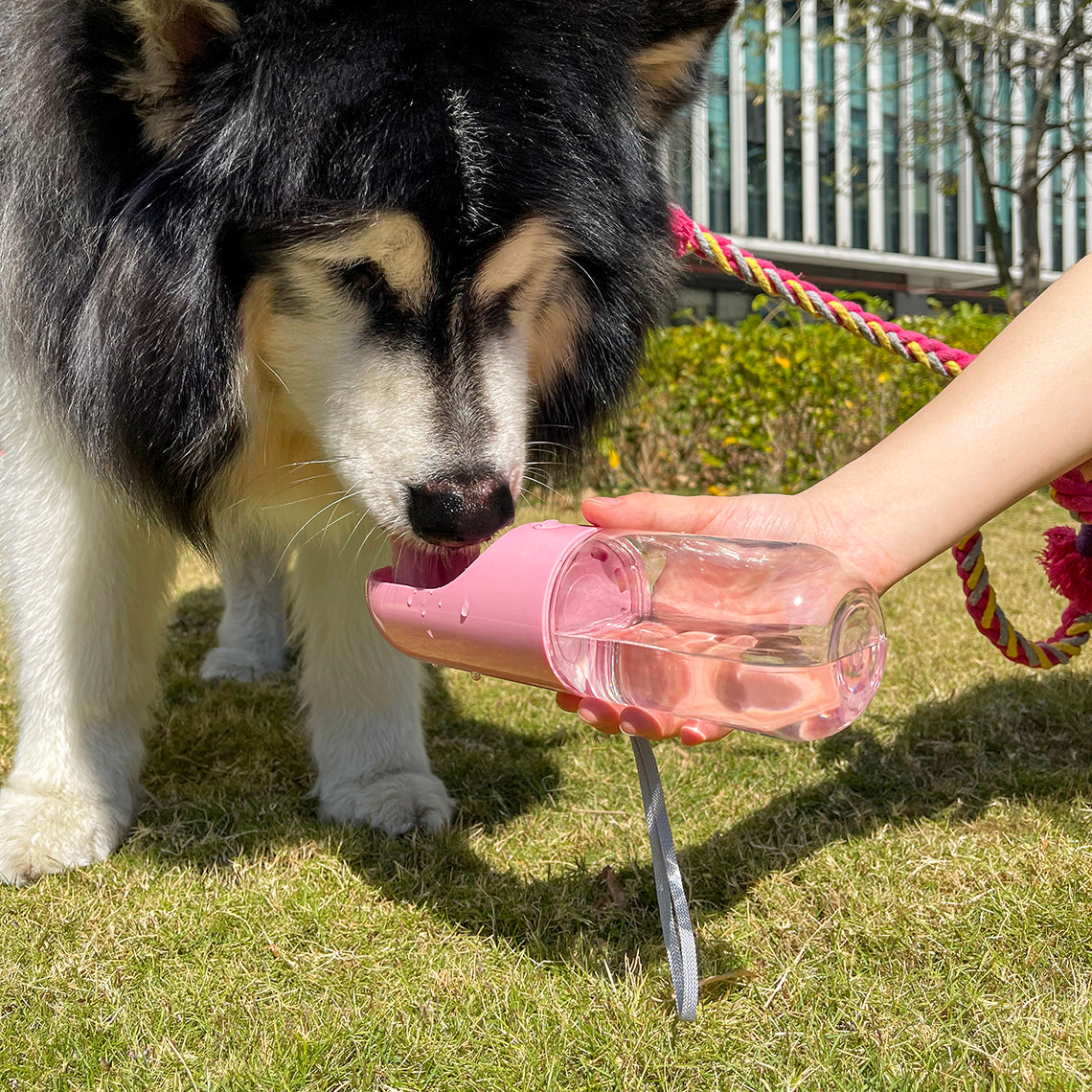 Garrafa de água portátil para cães ao ar livre
