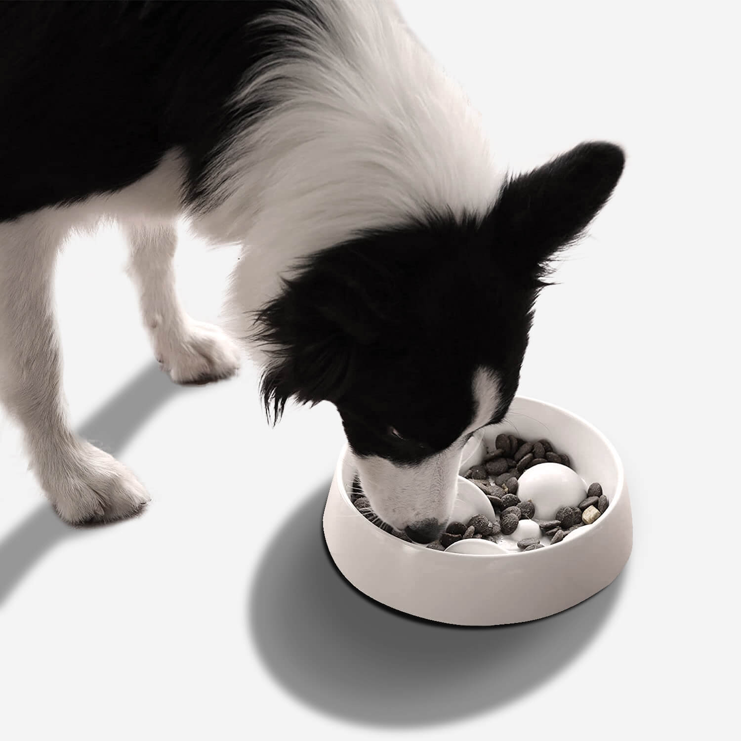 Tigela para cães com alimentação lenta Cosmos
