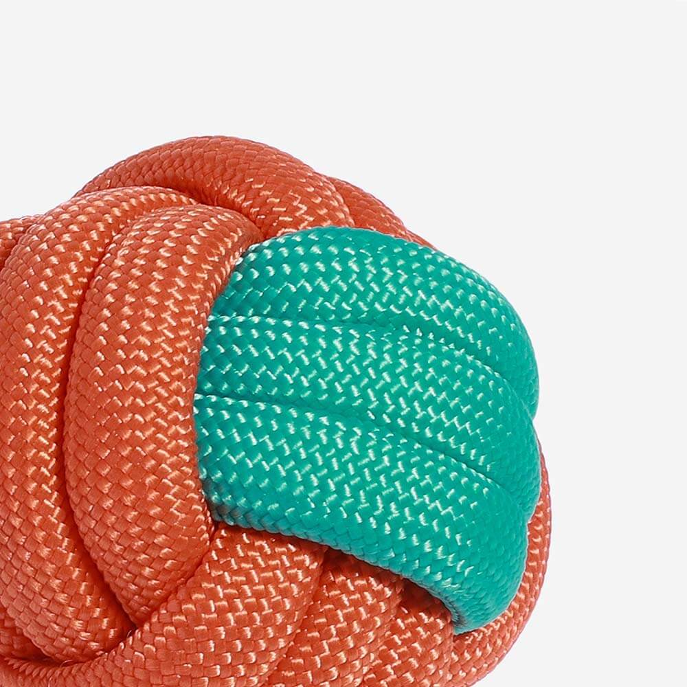 Knots Rope Tug Dog Toy - Color Clash