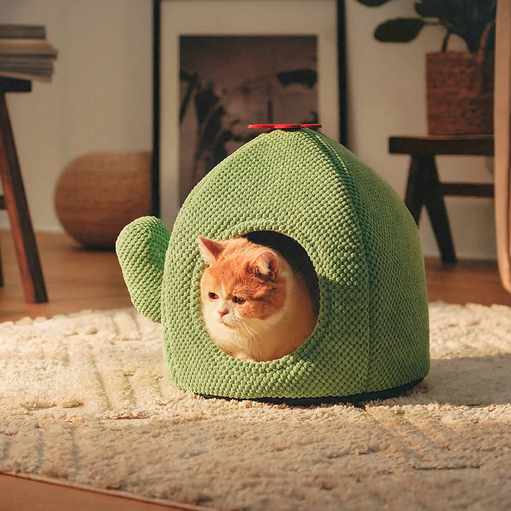 Cama quente para gato em formato de cacto