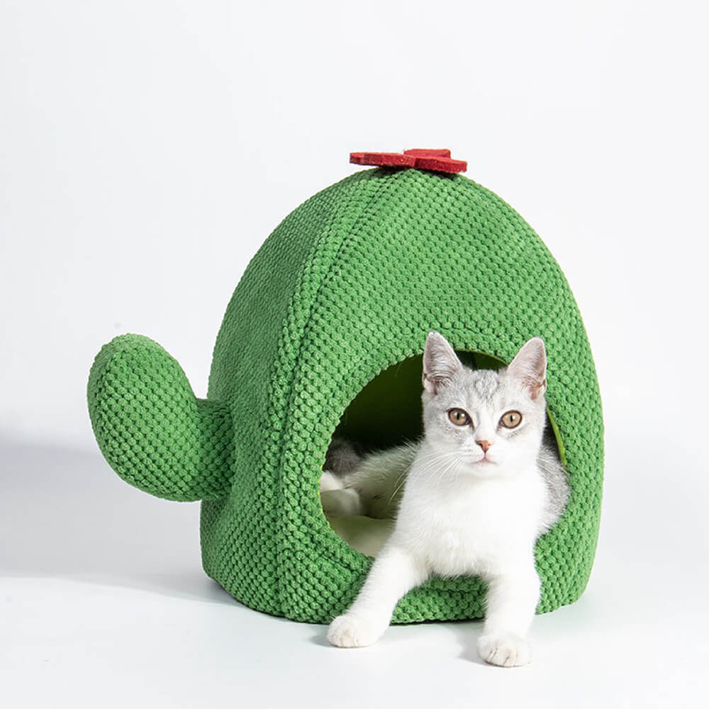 Cama quente para gato em formato de cacto