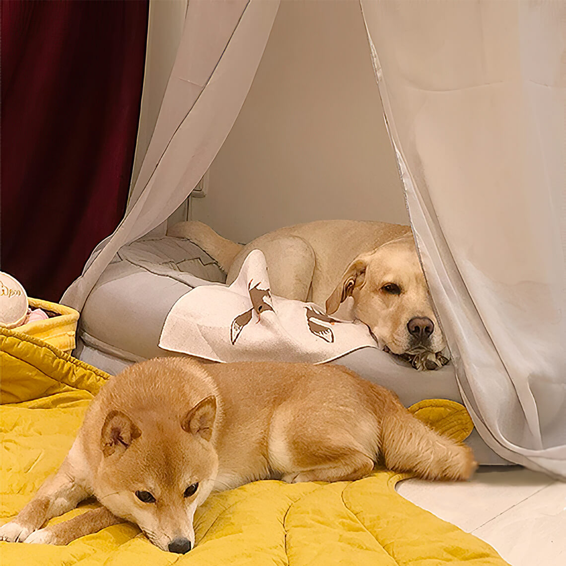 Cobertor para cachorro em formato de folha com donut, cama para cachorro, presentes luxuosos para cachorro