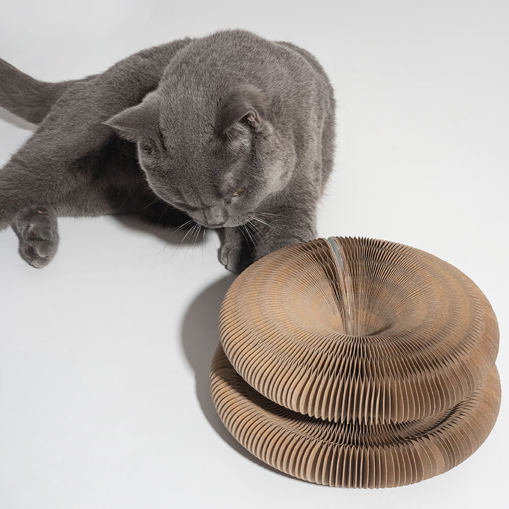 Acordeão mágico dobrável durável com placa de arranhar para gatos Bell Ball