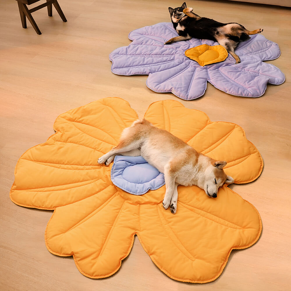 Cobertor para cachorro com tapete humano super grande em forma de flor
