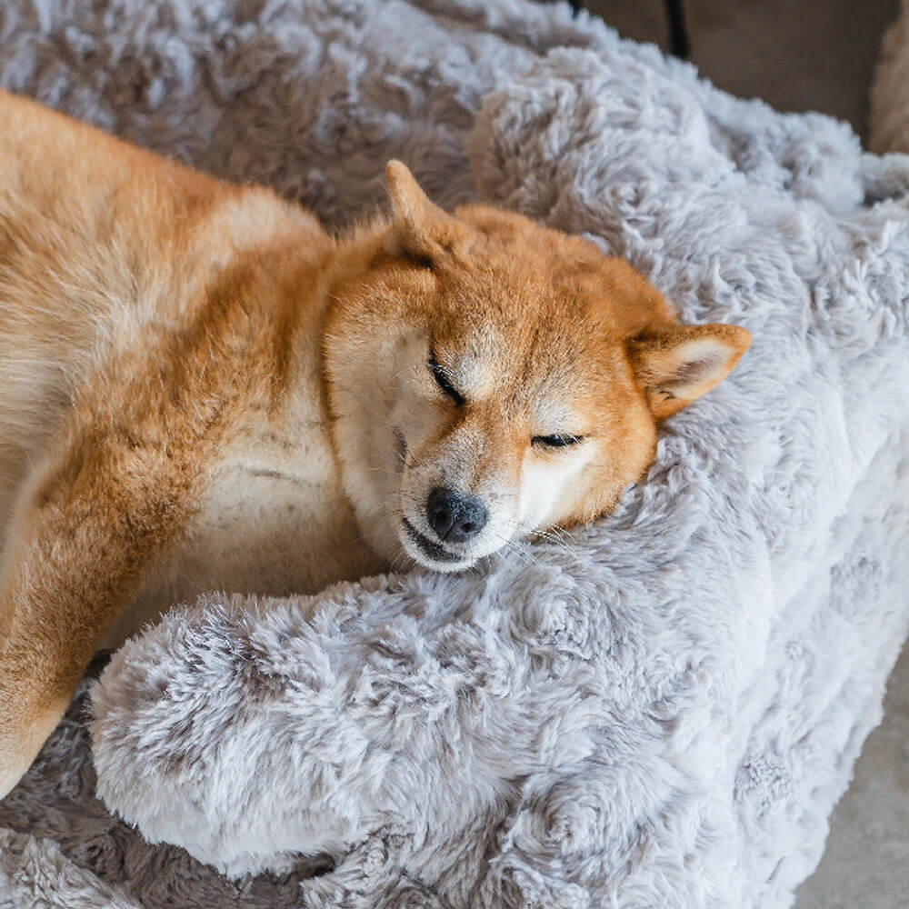 Cama de cachorro calmante em formato de nuvem de osso fofo e aquecido