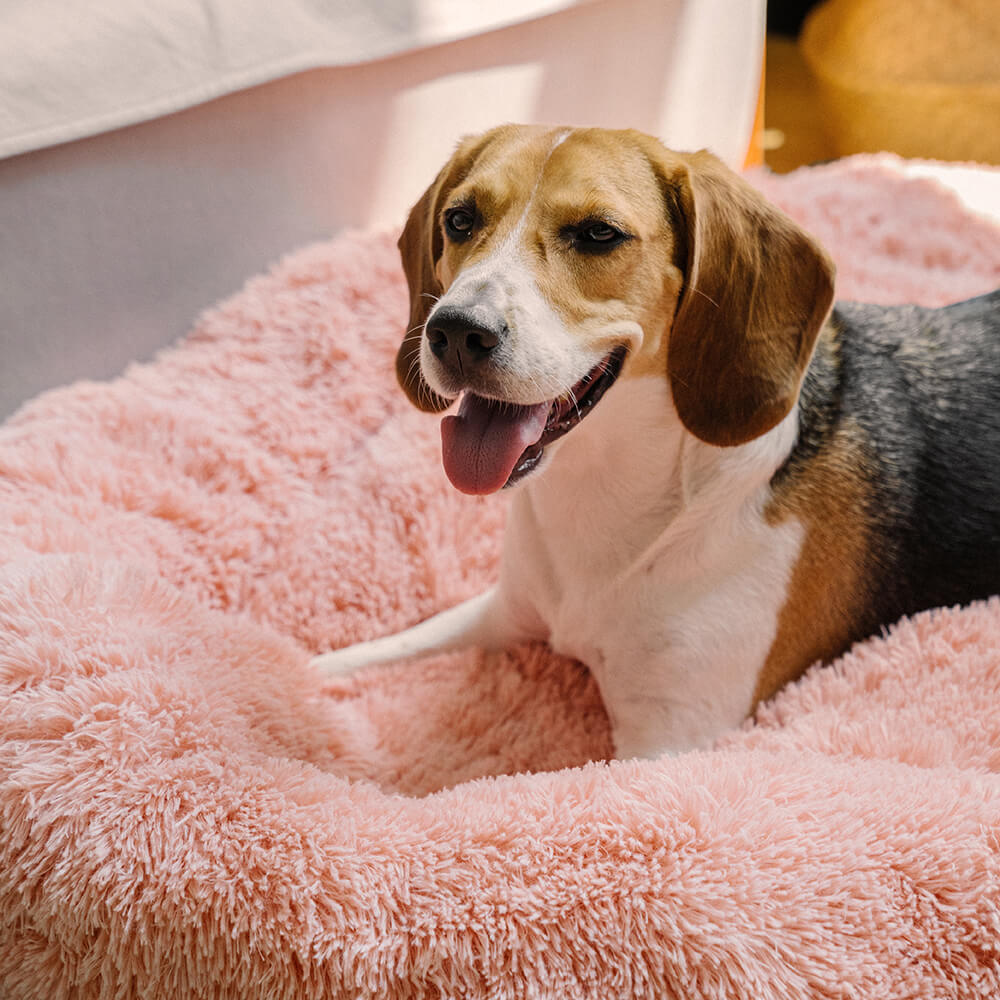 Cama redonda felpuda e fofa para cachorro