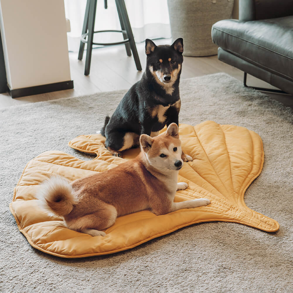 Cobertor para cachorro em formato de folha