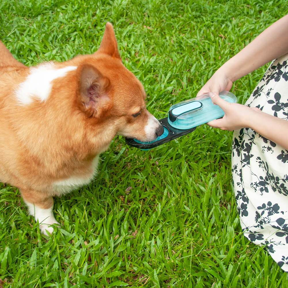 Garrafa de água portátil para cachorro - Oceanário