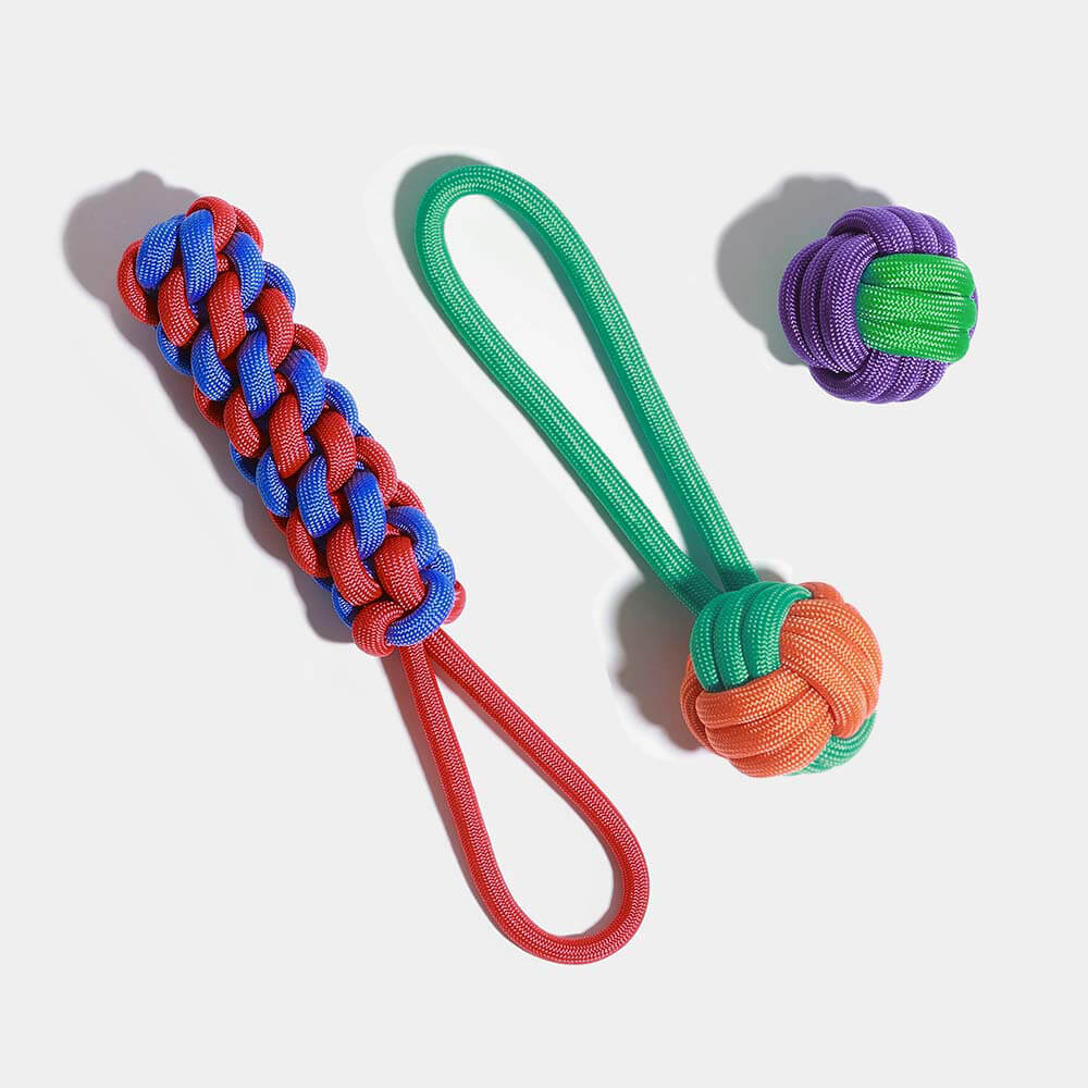 Conjunto de brinquedos para cães com corda Knots - Color Clash
