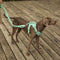 Gummy Dog Harness