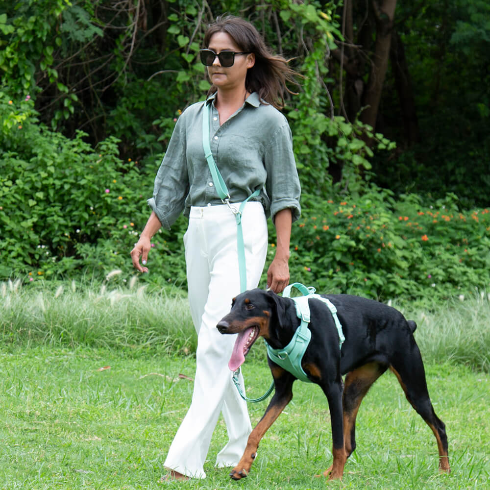 Arnês para cachorro de goma