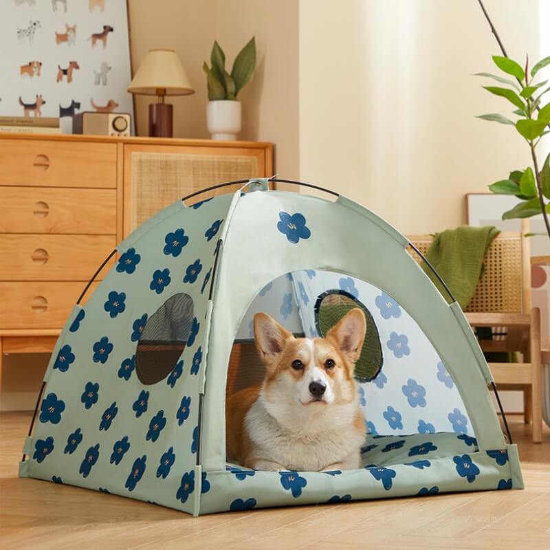 Tenda para gatos com cúpula de flor azul e cama para animais de estimação